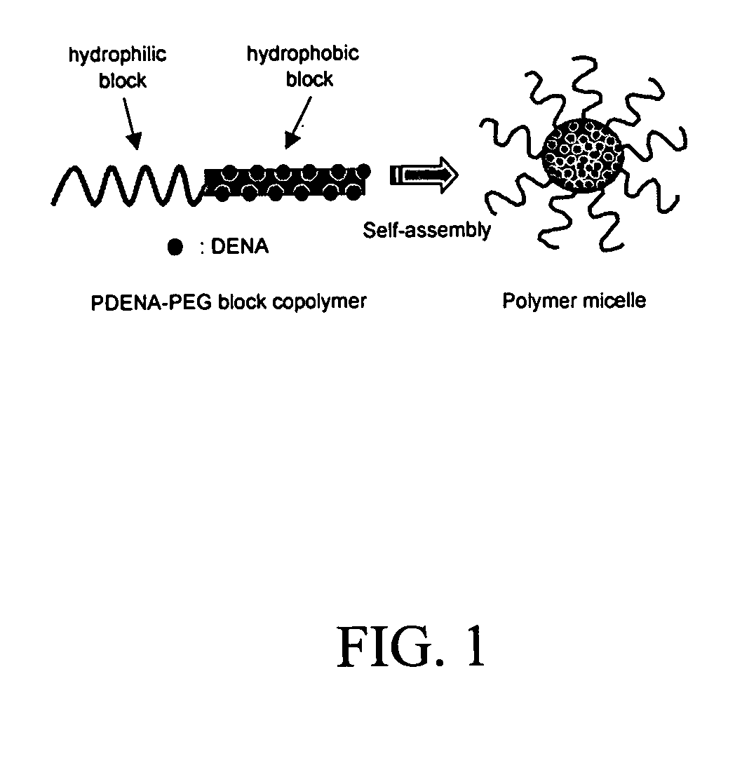 Pharmaceutical applications of hydrotropic polymer micelles