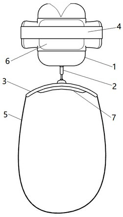 Torticollis corrector