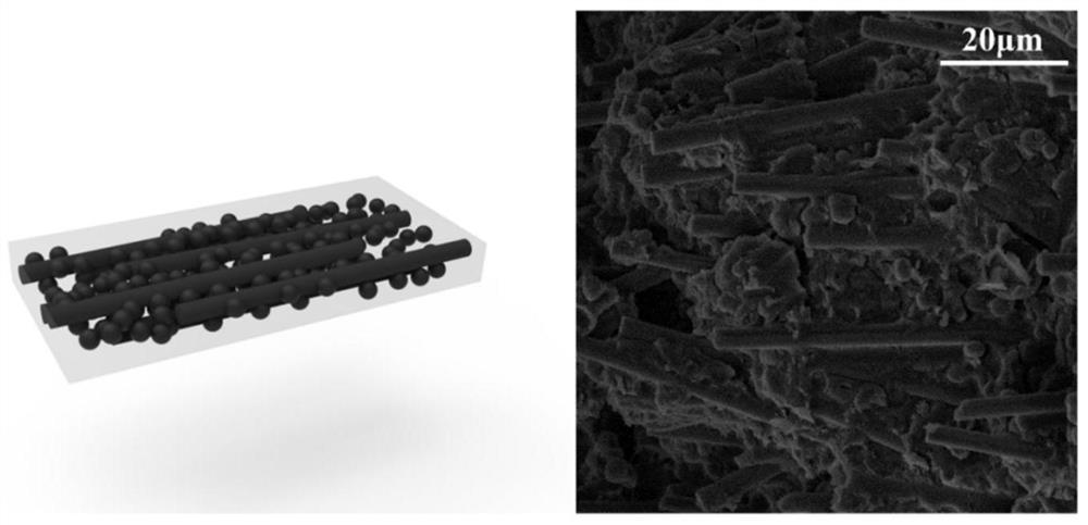 High-strength high-thermal-conductivity electromagnetic shielding nylon composite material and preparation method thereof