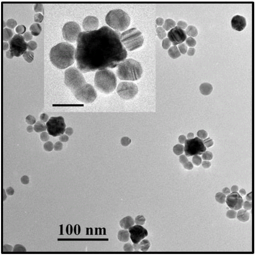 Construction of algal toxin Raman sensor adopting gold nanoflower-silver nanoparticle bimetallic nano assembly
