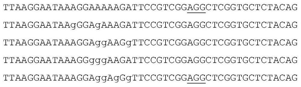 A kind of wide window single base editing gene and its application and breeding method