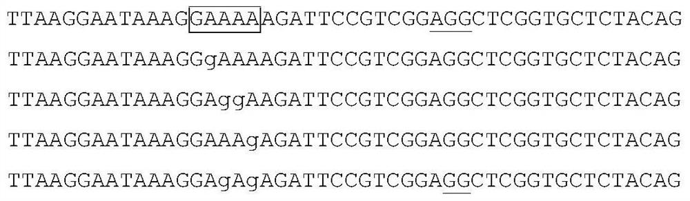 A kind of wide window single base editing gene and its application and breeding method