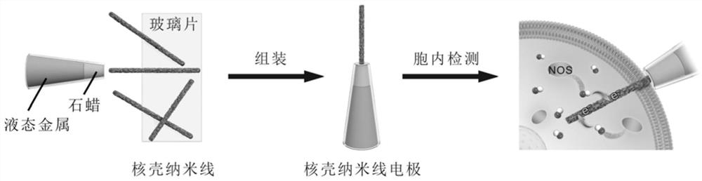 A functionalized core-shell nanowire and its preparation method and application