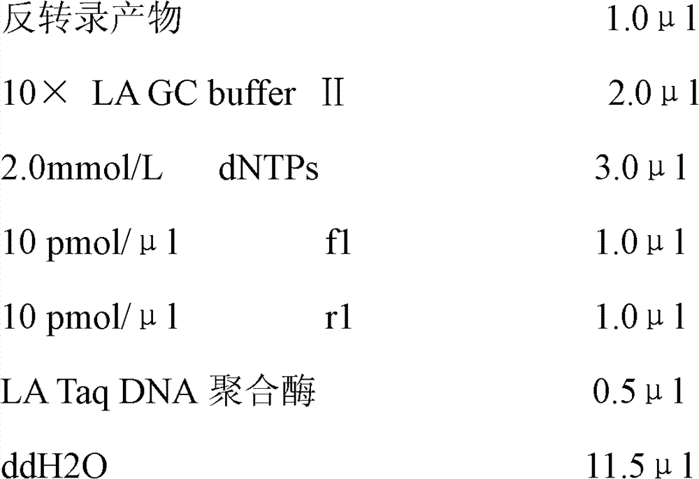 Marker for detecting pediatric asthma