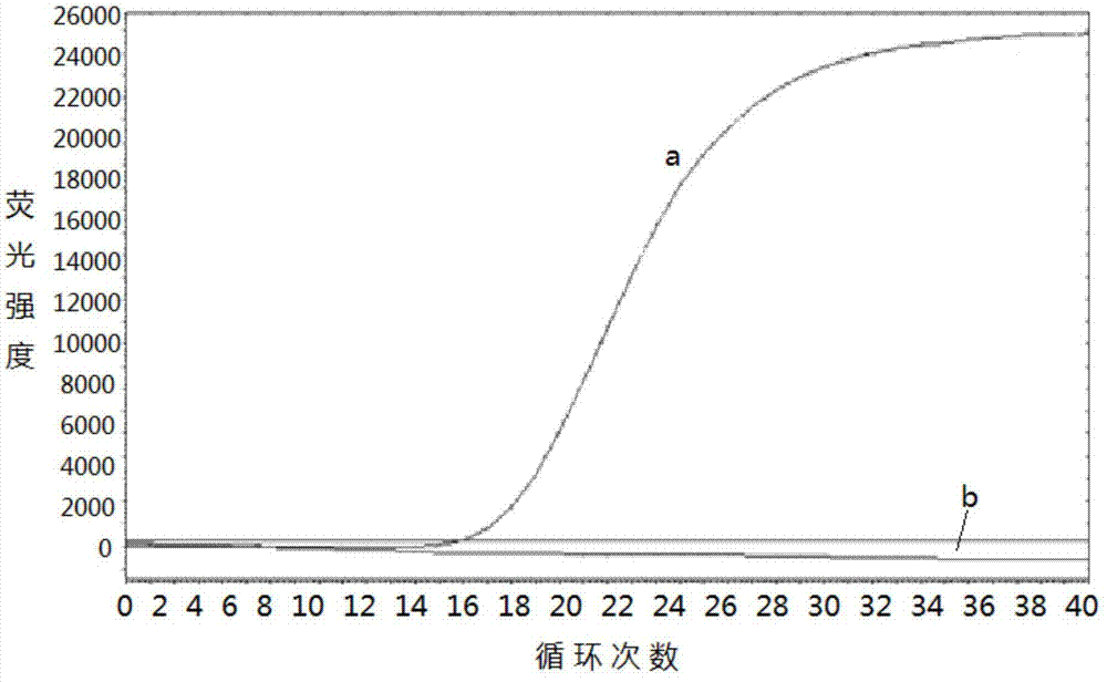 Primers, kit and pcr method for detecting m918t site mutation of ret gene