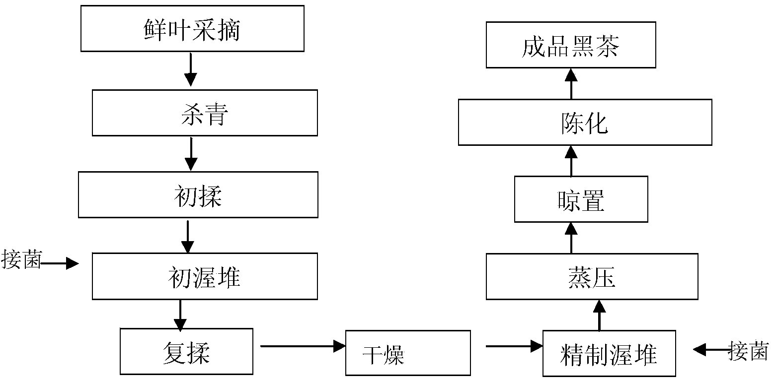 Method for processing brick tea from Lingyun Baihao tea
