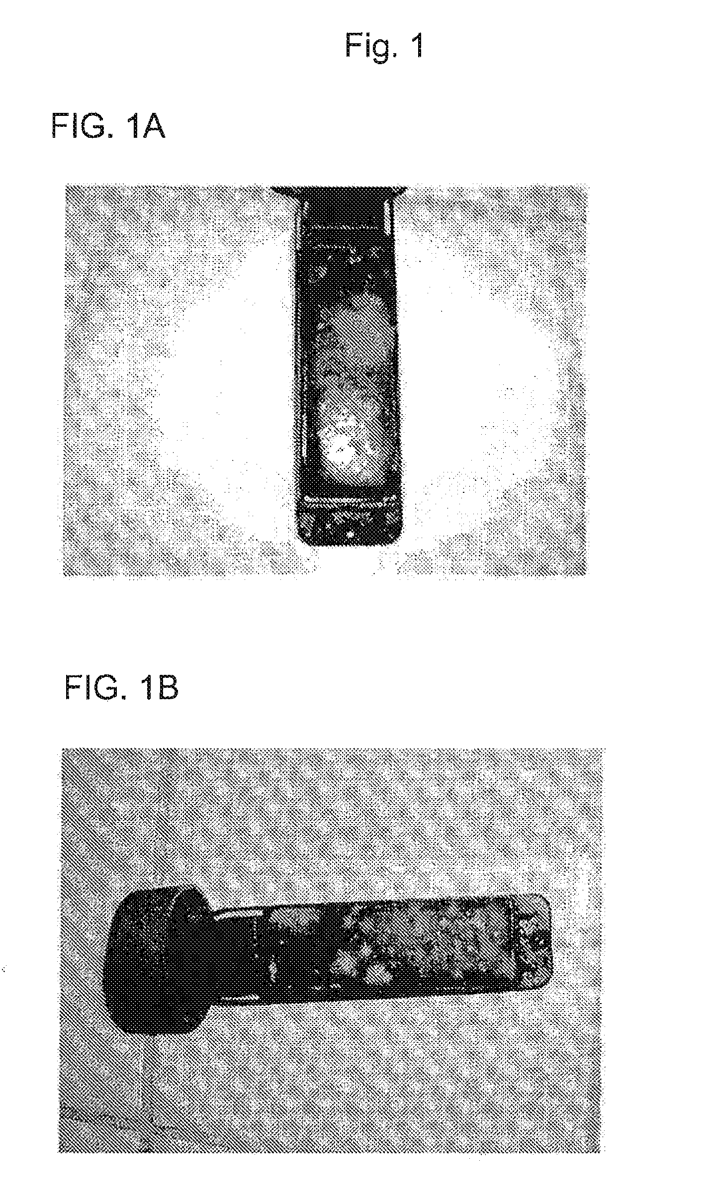 Compositions and Methods for Treatment of Diseases of the Foot of an Animal