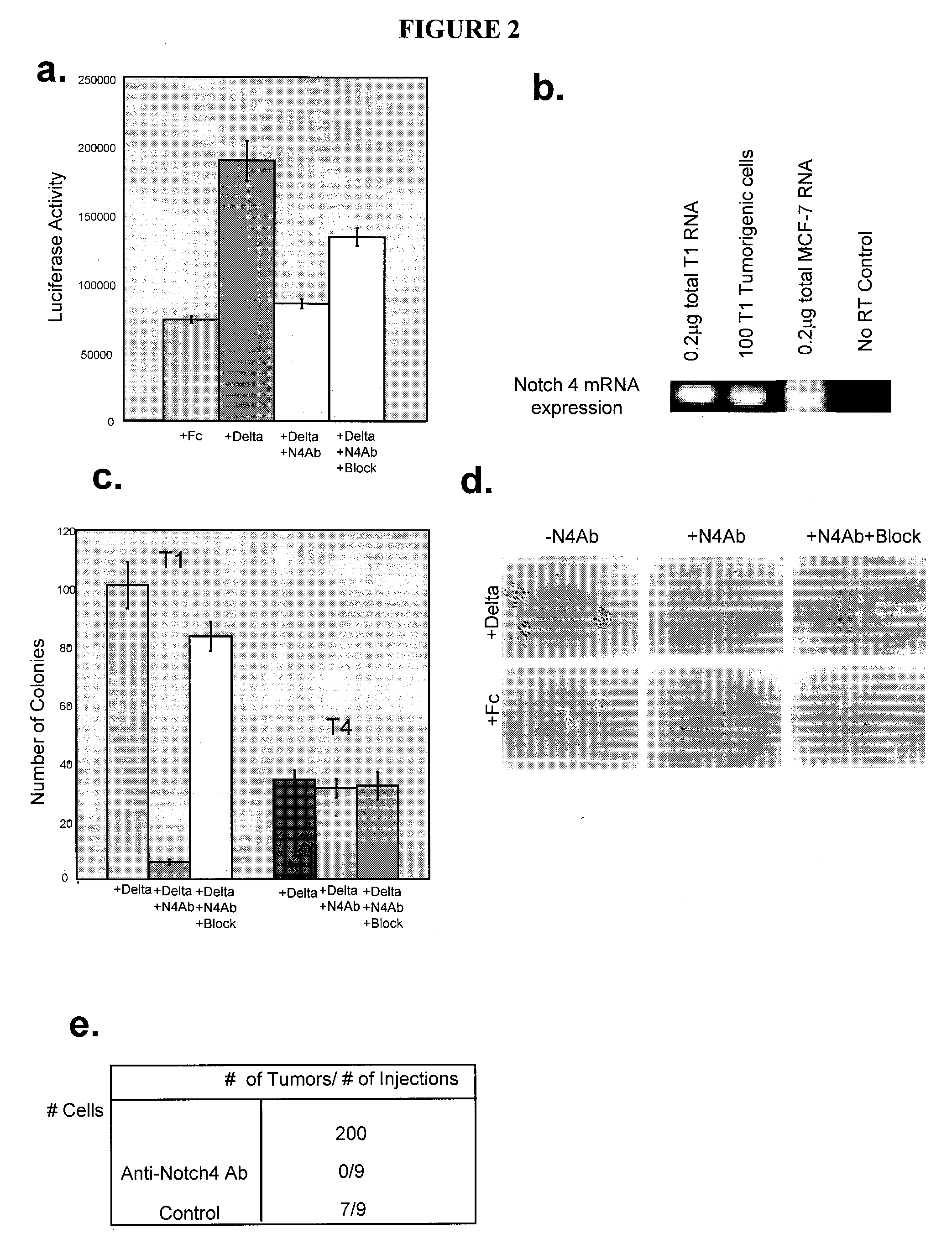 Compositions and methods for characterizing, regulating, diagnosing, and treating cancer