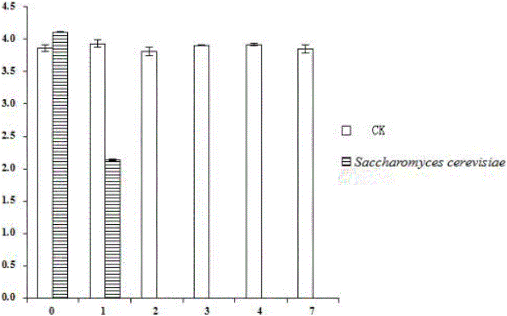 Saccharomyces cerevisiae degrading zearalenone toxins and application thereof