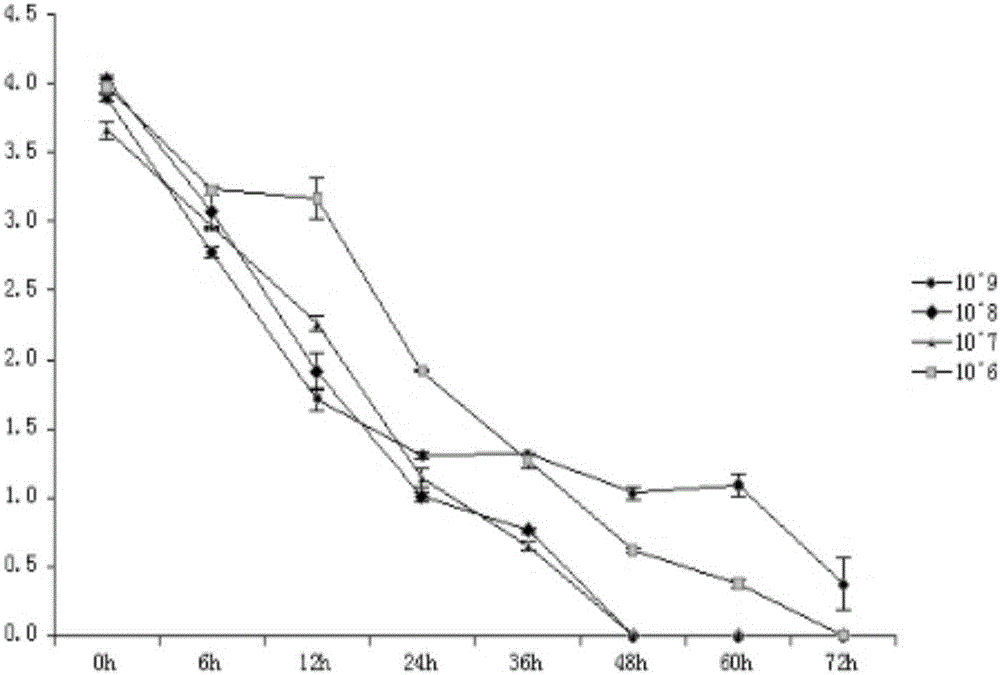 Saccharomyces cerevisiae degrading zearalenone toxins and application thereof