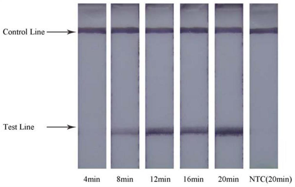 A detection method for food-borne pathogen Salmonella