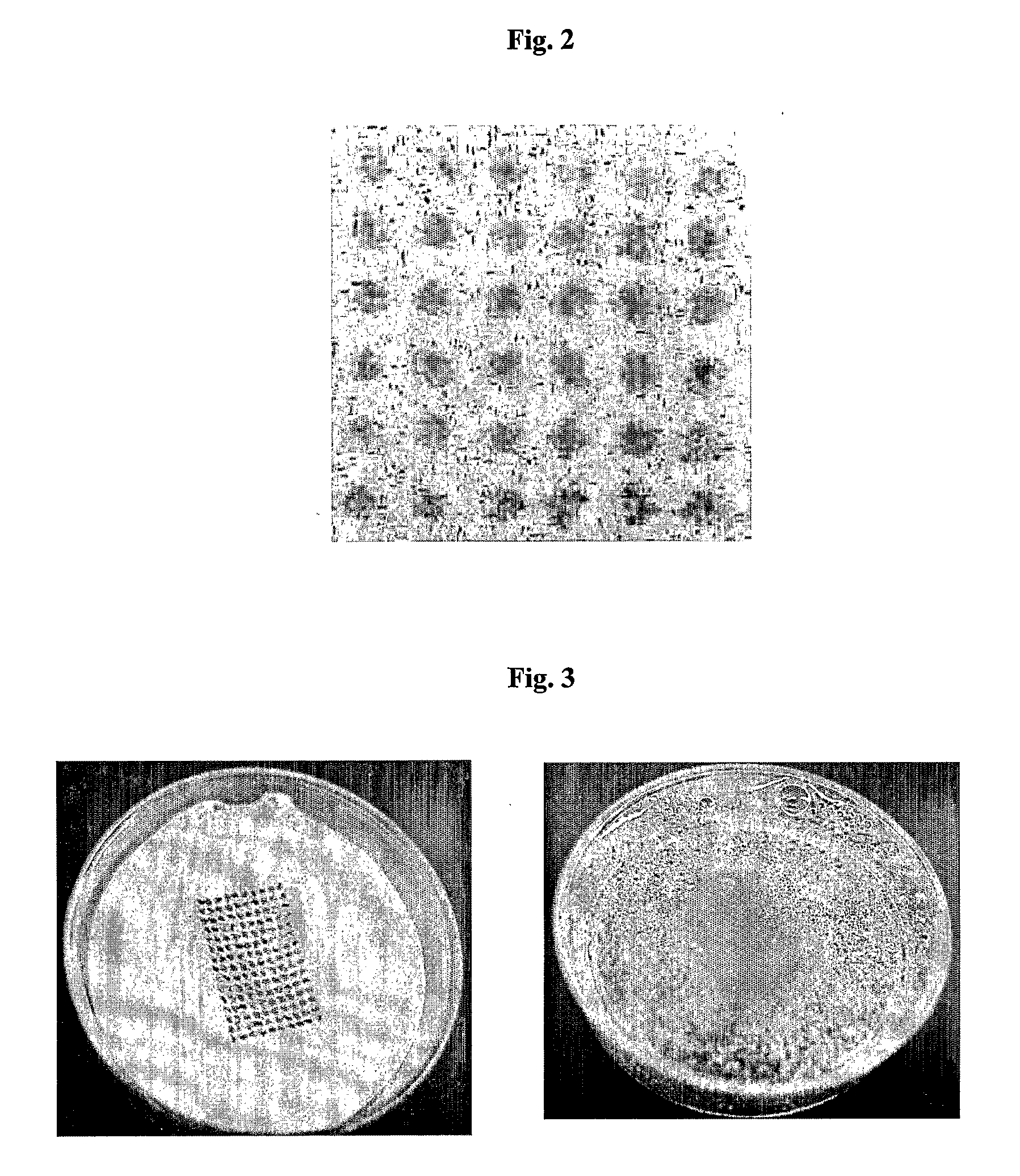 Pharmaceutical Composition For Topical Use In Form Of Xerogels Or Films And Methods For Production