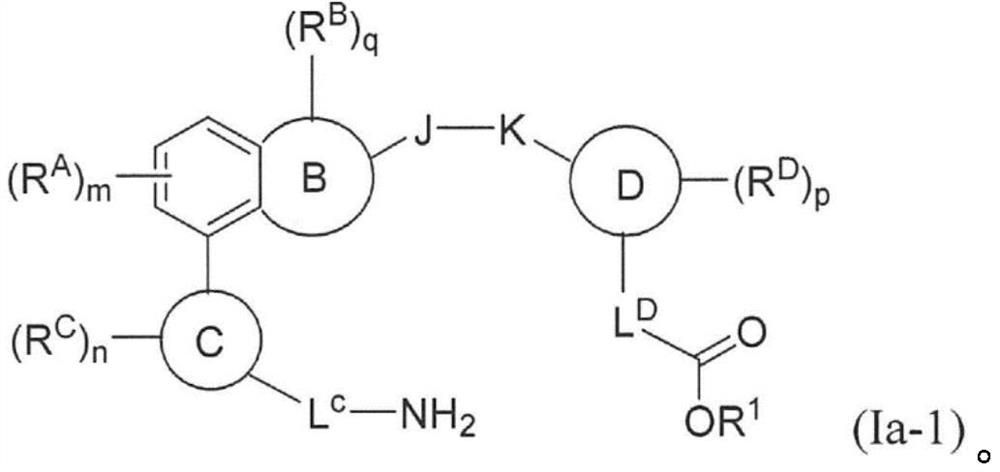 Oral complement factor D inhibitors