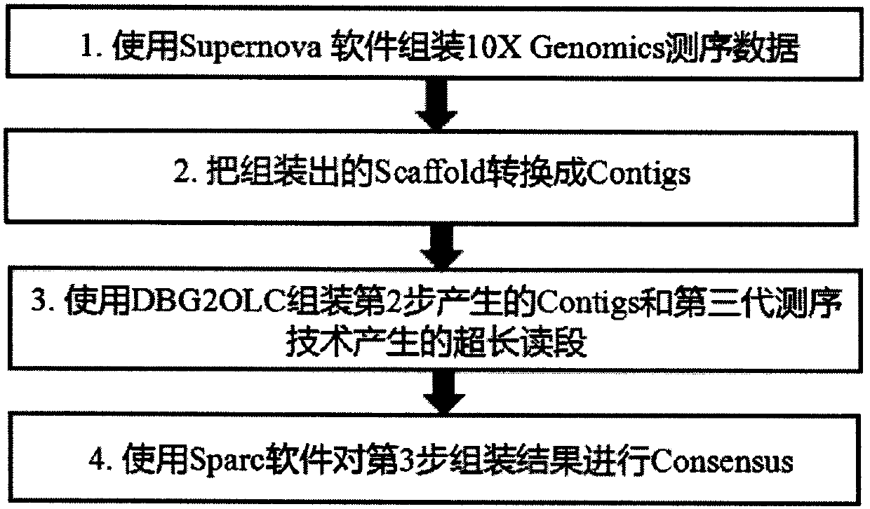 Method for de novo assembly of genome by comprehensively applying third-generation ultra-long reads and second-generation linked reads
