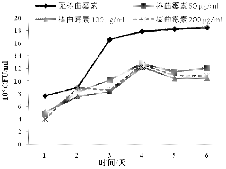 Application of Candida guilliermondii strain to elimination of patulin