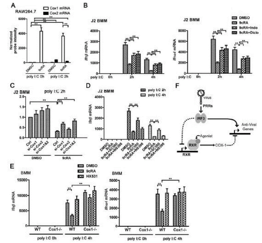 Application of RXR to construction of vesicular stomatitis virus tolerant model