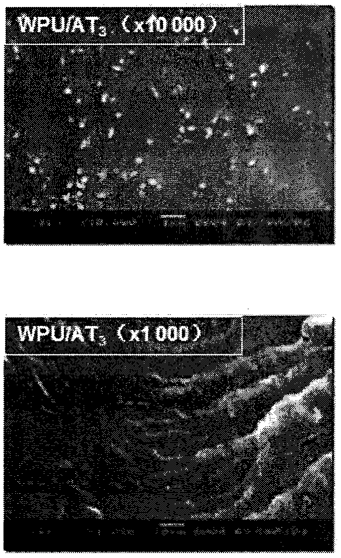 A kind of preparation method of attapulgite modified lignin type polyurethane material