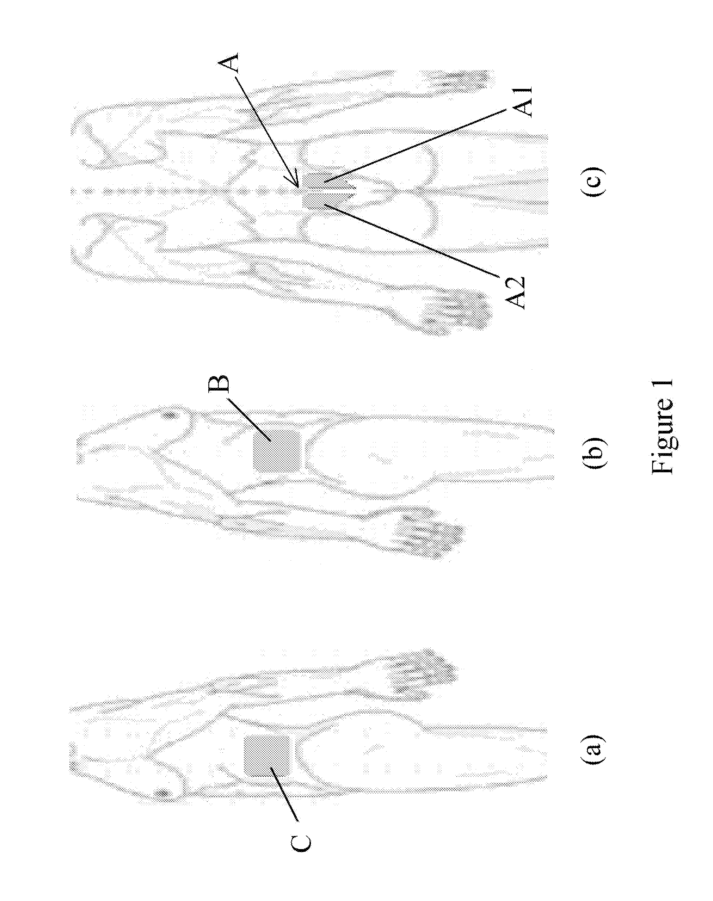 Method and apparatus for stimulating the lower back and abdominal muscles