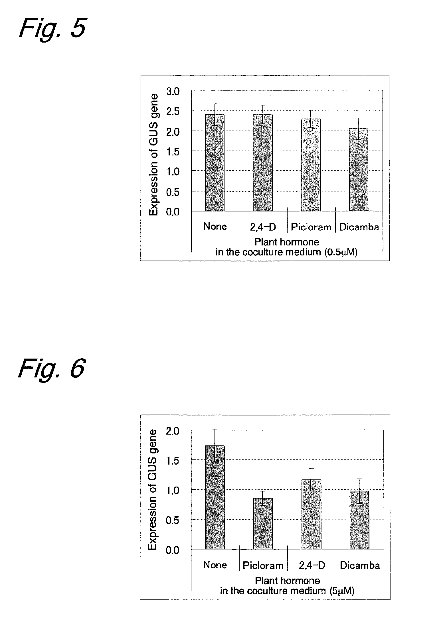  method of gene introduction into triticum plant using agrobacterium, and a method of producing transformed triticum plant