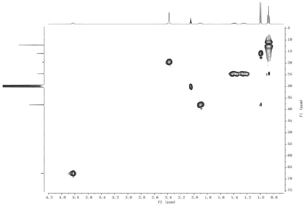 Application of fermentation liquor of alternaria alternata JTF001 in inhibition of seed germination of Orobanche aegyptiaca