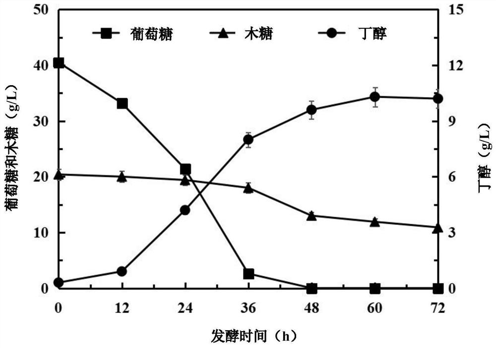 Recombinant clostridium acetobutylicum for efficiently converting straw biomass carbon source as well as construction method and application of recombinant clostridium acetobutylicum