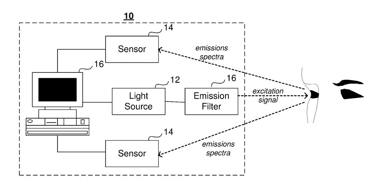 System And Method For In Vivo Detection Of Fluorescence From An Eye
