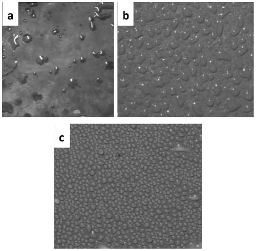 Environment-friendly cleaning and repairing agent for composite insulator