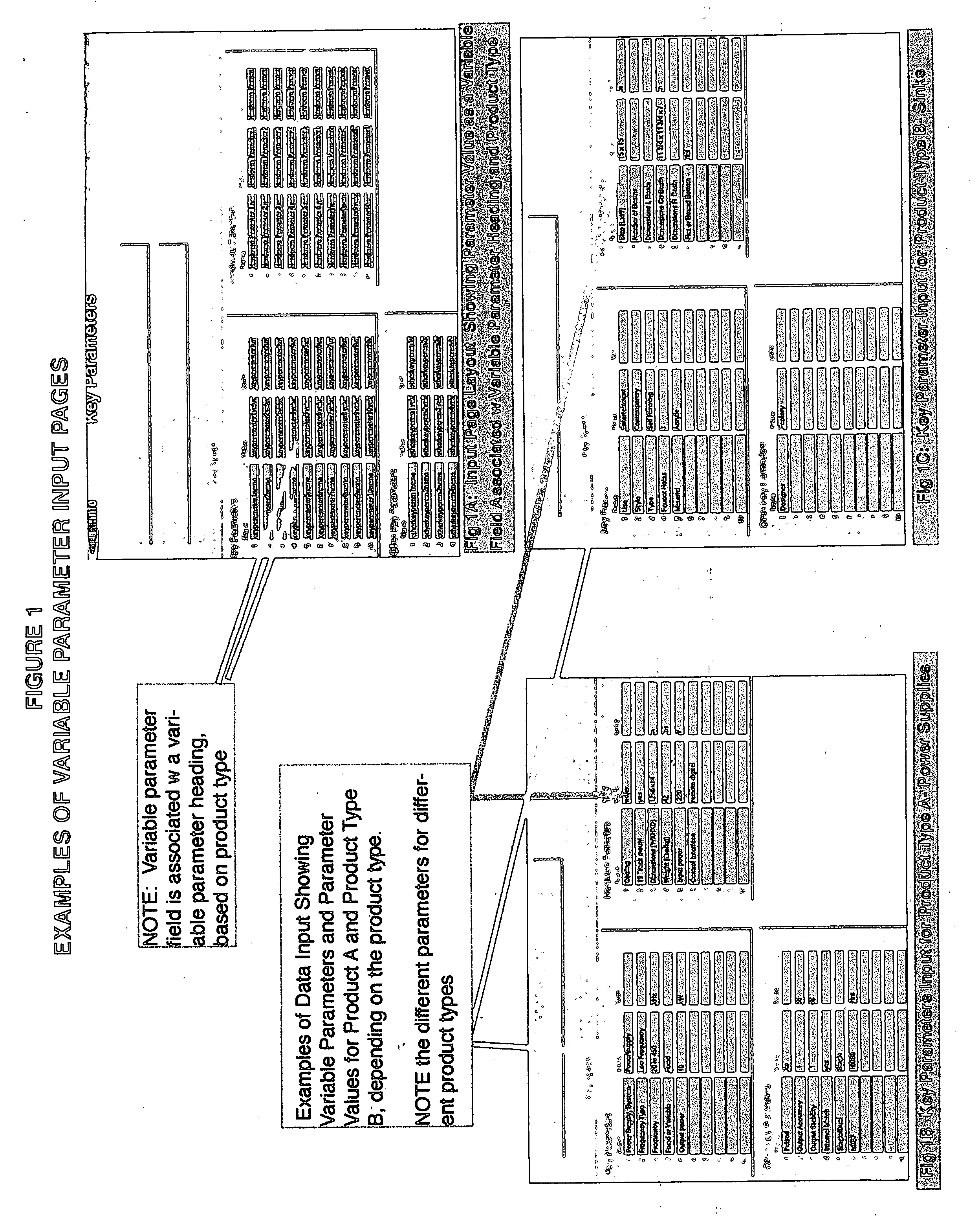 System and method for organization and display of data using identification of key data for comparison and analysis