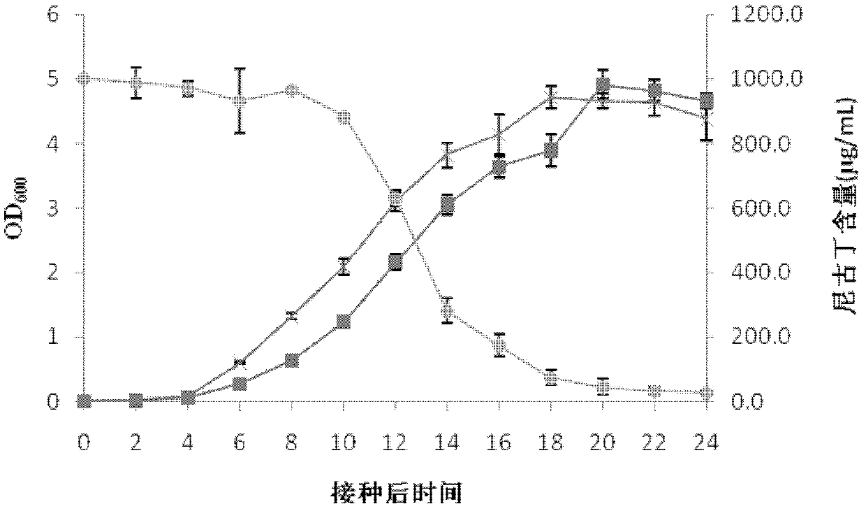 Pseudomonas fluorescens preparation and application thereof