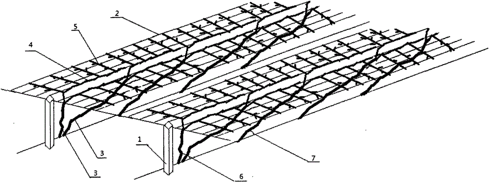 A method suitable for horizontally connected scaffolding cultivation of grapes in alpine regions