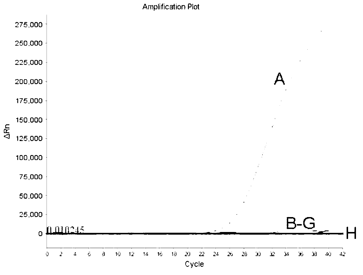 Avian influenza virus H7 type RT-PCR (reverses transcription-polymerase chain reaction) detecting kit and detecting method