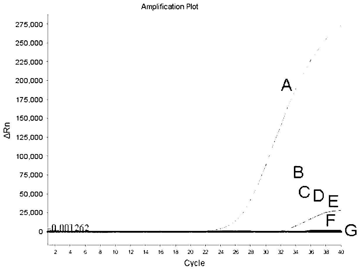 Avian influenza virus H7 type RT-PCR (reverses transcription-polymerase chain reaction) detecting kit and detecting method