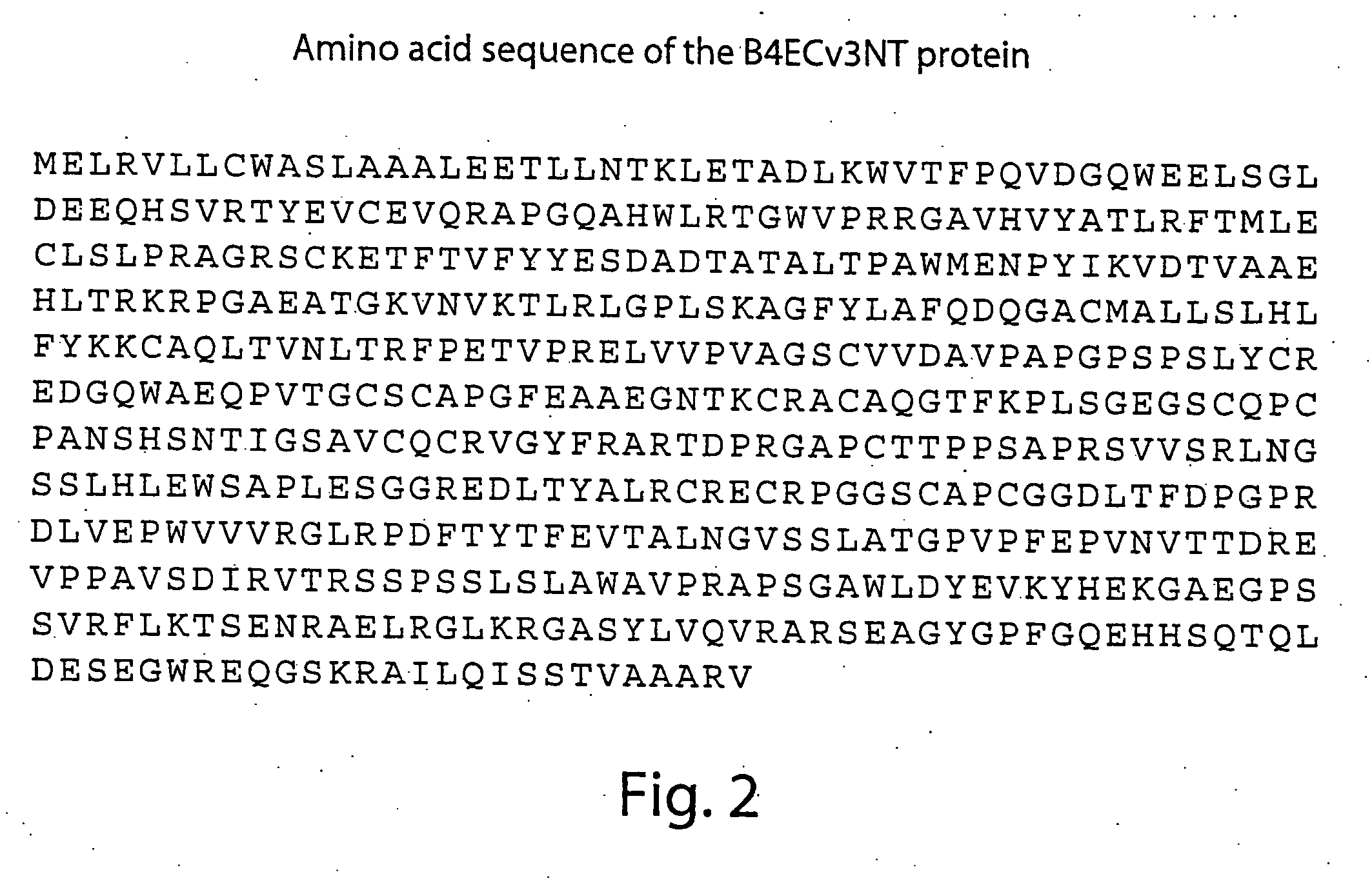Compositions and methods for detecting and treating tumors