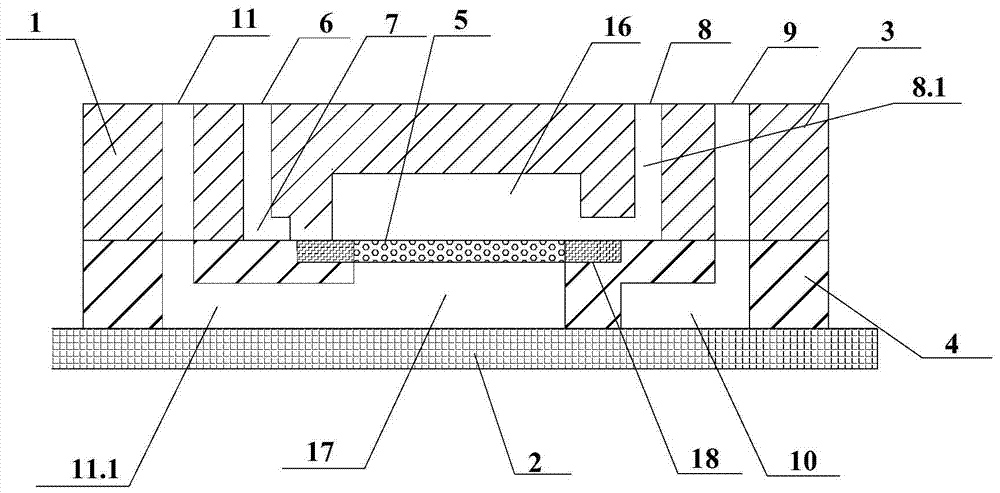 Rare cell detection chip and application thereof