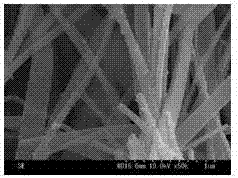 A kind of tin dioxide nanotube with high electrical performance and preparation method thereof