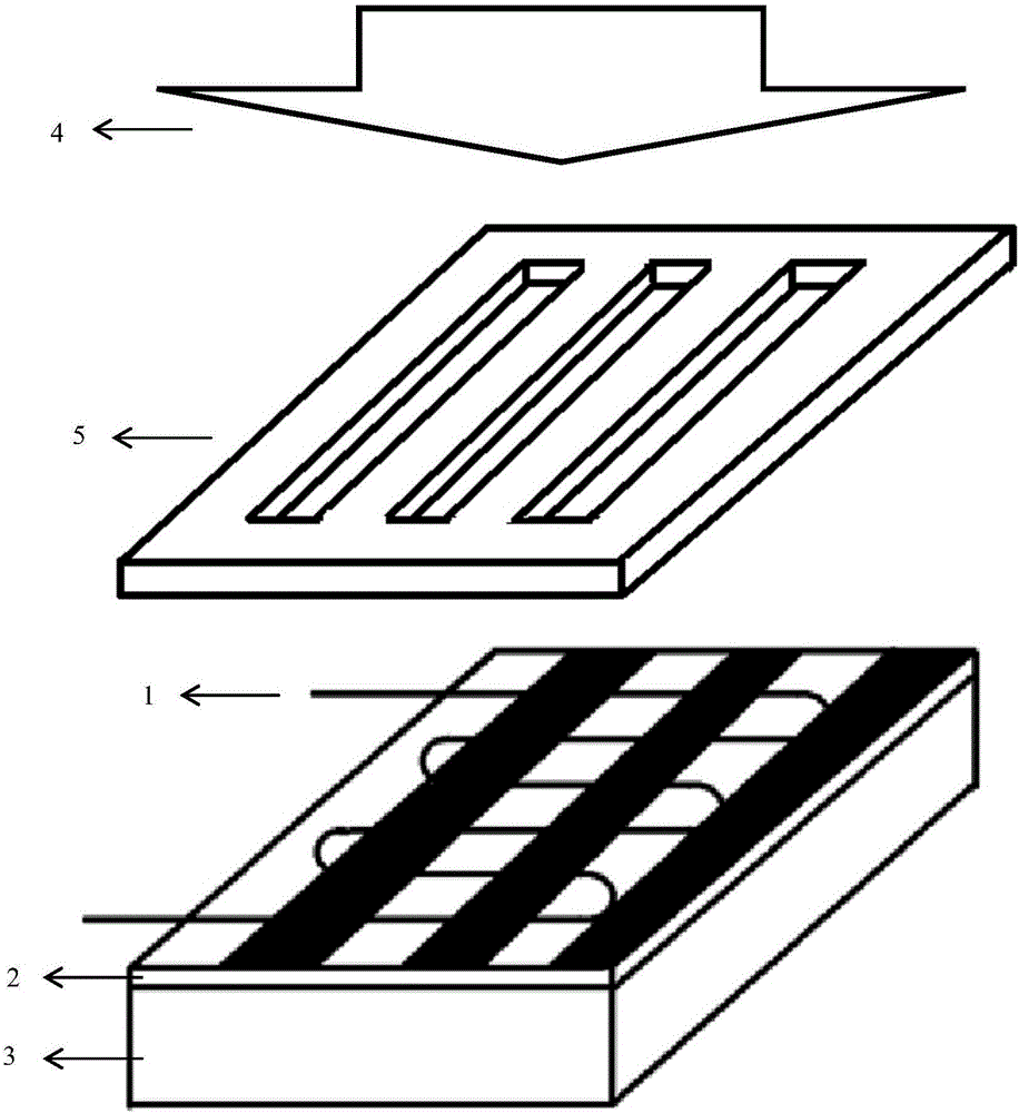 Ultra high speed light signal generator based on grapheme micro fibe