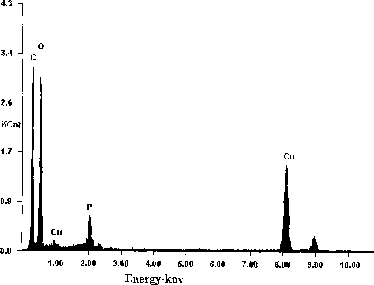 Method for preparing phosphorus-ordered mesoporous carbon complex and fuel-cell catalyst using the complex as carrier