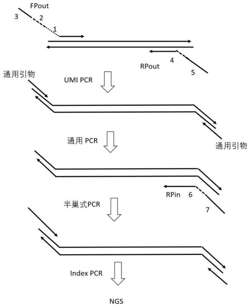 Method and kit for detecting human HER2 gene copy number variation