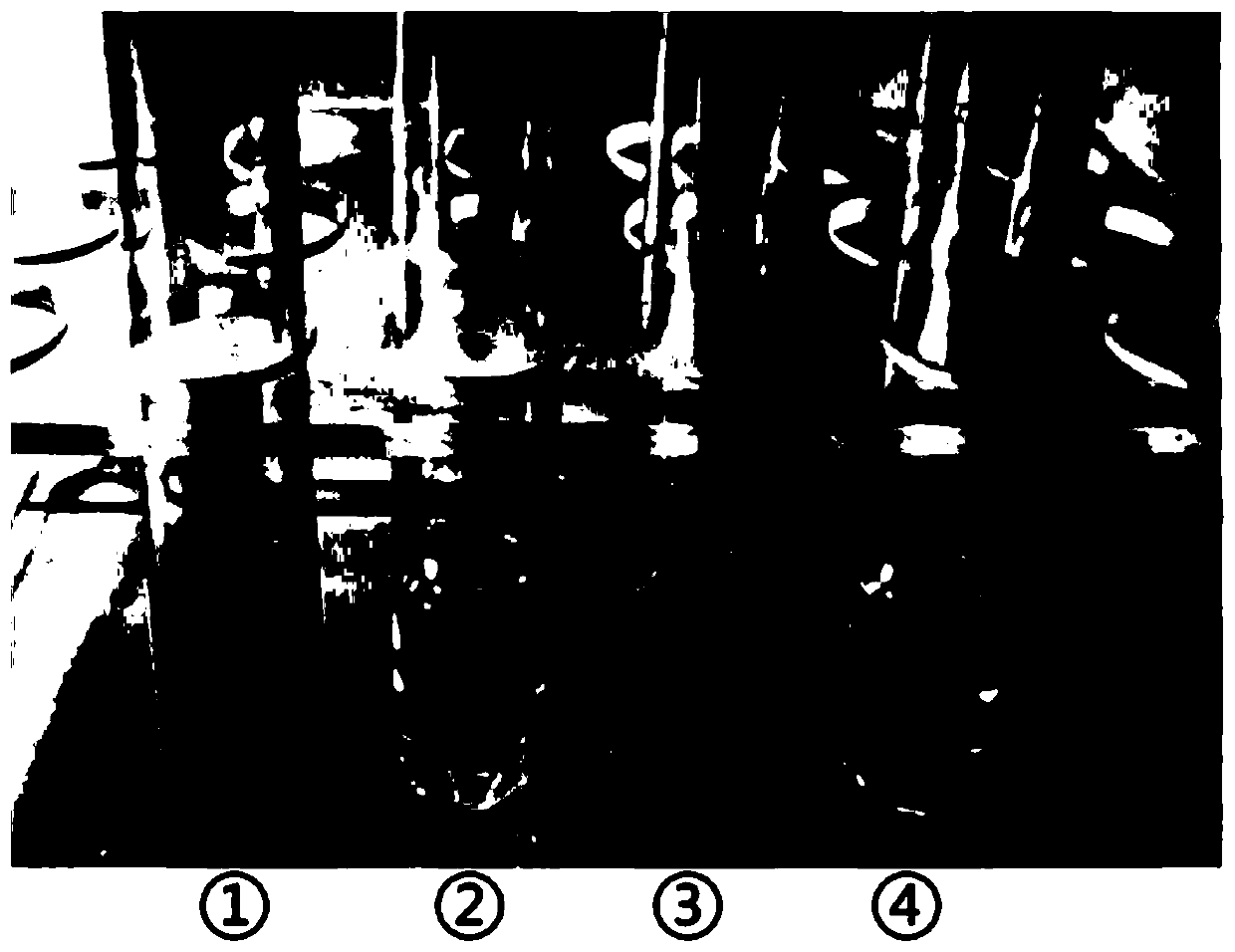 Microorganism-based nitroaromatic pollutant detection method