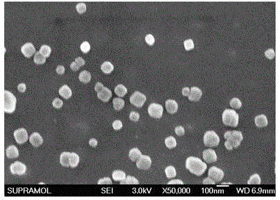 Taxane drug albumin nanoparticle freeze-drying preparation for injection and preparation method