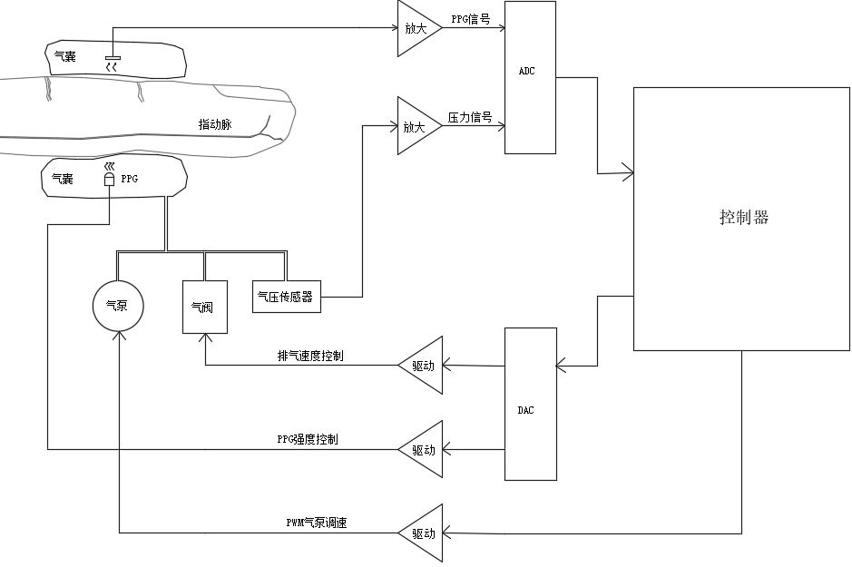 Automatic real-time calibration method for continuous blood pressure measurement