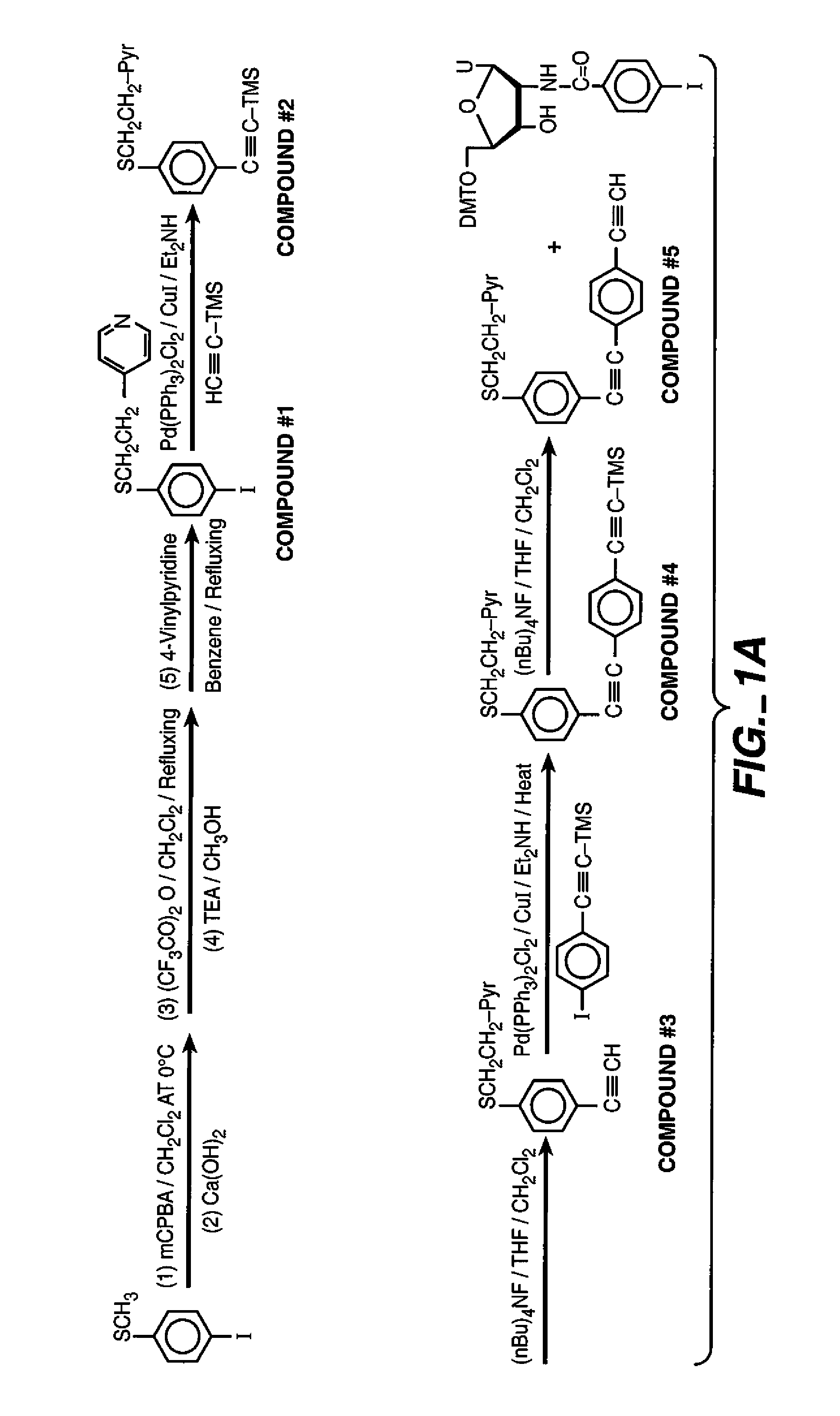 AC/DC voltage apparatus for detection of nucleic acids