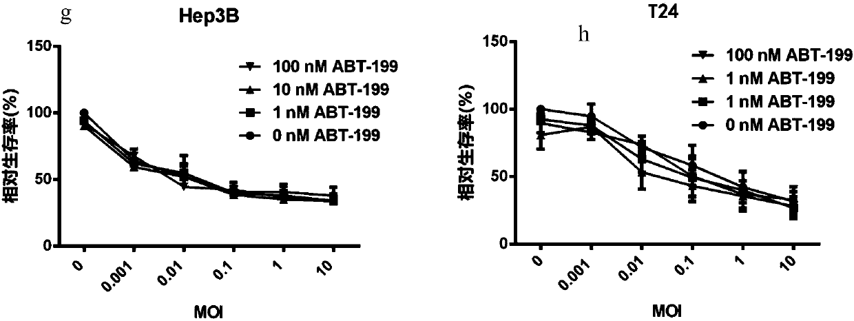 Application of bcl-xl inhibitor and oncolytic virus in the preparation of antitumor drugs