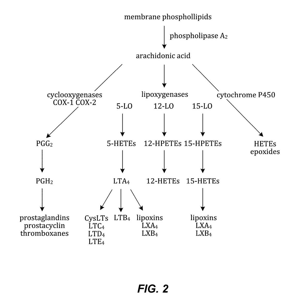 Composition of bioactive lipids and methods of use thereof