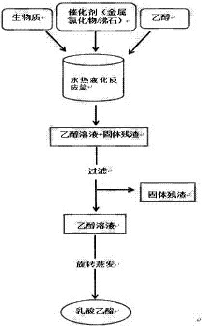 Method for preparing ethyl lactate by biomass hydrothermal liquefaction