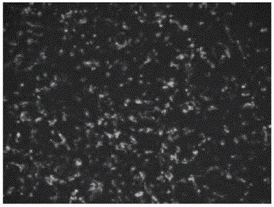 A small molecule modified targeted paclitaxel prodrug and its preparation method and application