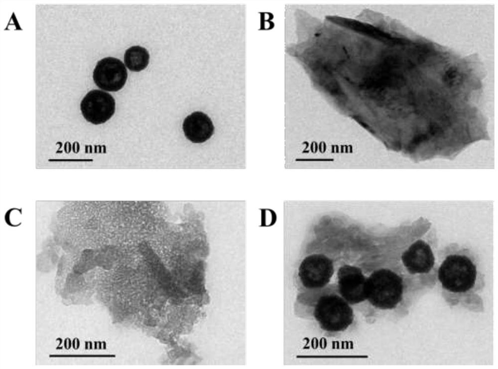 A kind of preparation method of bismuth-doped polymeric carbon nitride nanocomposite containing carbon defects
