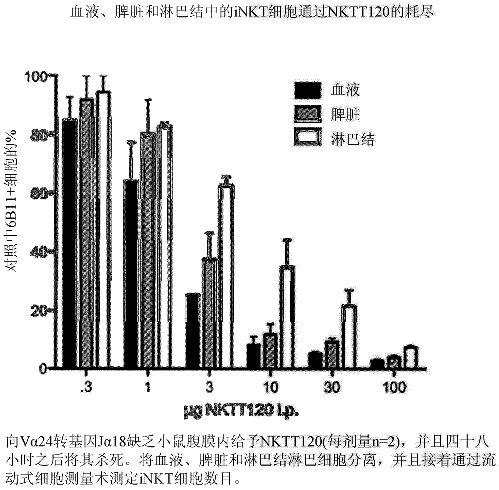 Humanized antibodies to iNKT