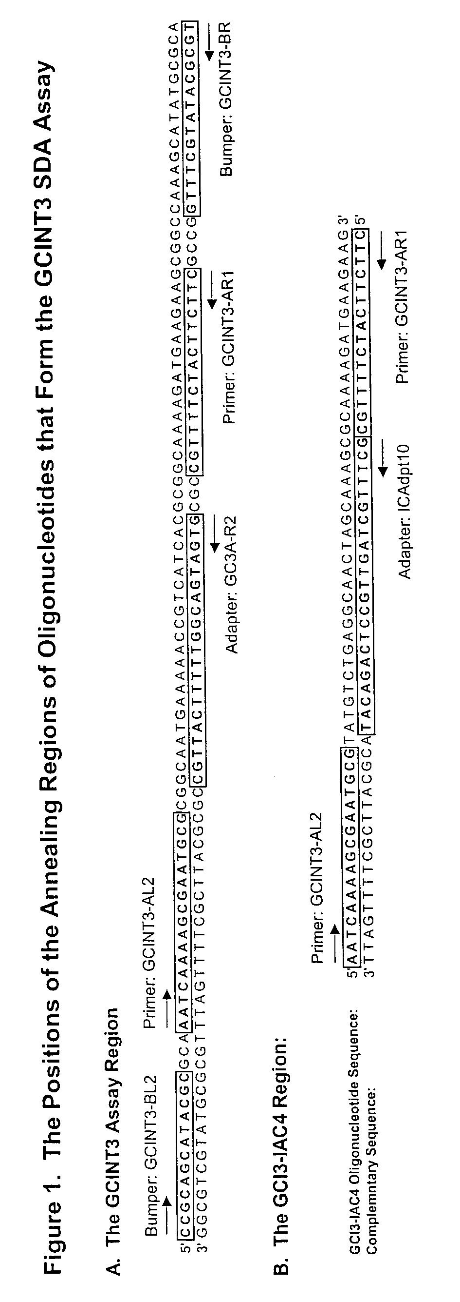 Neisseria gonorrhoeae assay