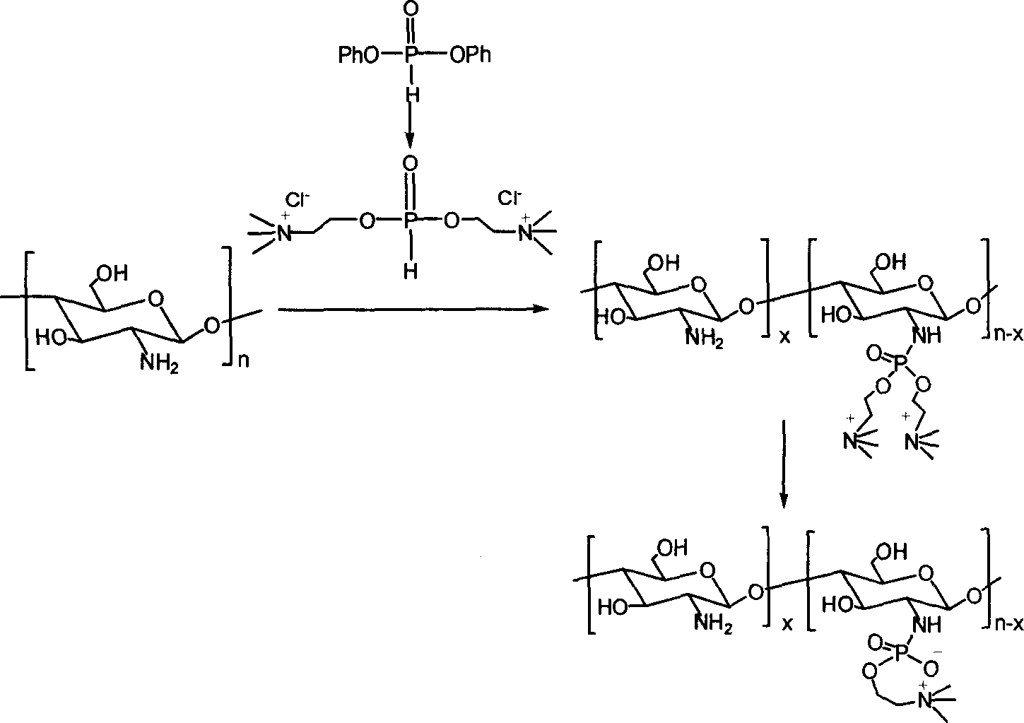 Phosphoryl choline chitosan derivative synthesis method